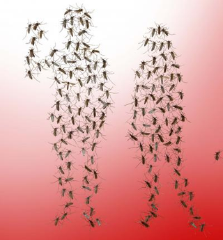 Illustration for article titled New chemical compound could make humans "invisible" to mosquitoes